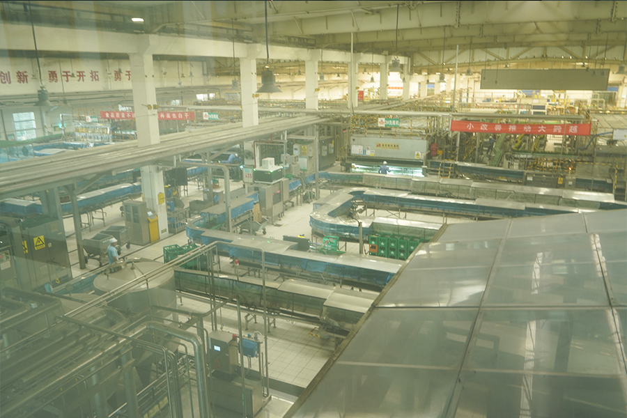 1591323740755918.jpg 10.jpg